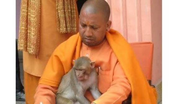 యూపీ అసెంబ్లీ ఎన్నికలు యూపీ అసెంబ్లీ ఎన్నికలు