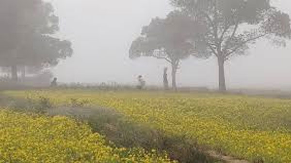 మంచు కురిసే వేళలో అరకు అందాలకు ముగ్దులవుతున్న పర్యాటకులు