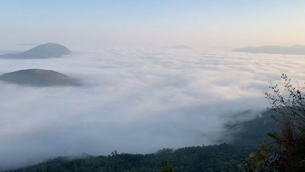 ఎత్తైన కొండలు, జలపాతాలు, ప్రకృతి సోయగాలతో కనువిందు చేస్తున్న అరకు