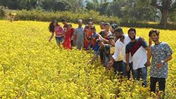 ఈ సీజన్ లో పూసే వలిసె పూల అందాలు, చాపరాయి జలవిహారి అదరహో