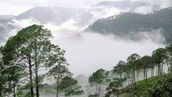 శీతాకాలంలో అరకు అందాలను తనివితీరా చూడాల్సిందే