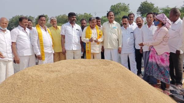TDP wants central and states to buy grain immediately!