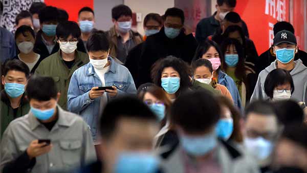 taiwan scientist tested positive for covid after mouse bite taiwan scientist tested positive for covid after mouse bite