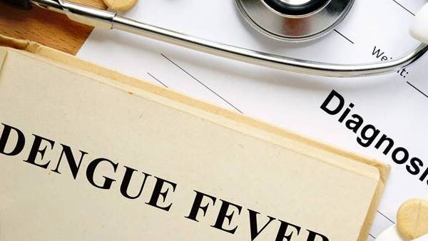 6 వేలకు పైగా తెలంగాణా రాష్ట్రంలో డెంగ్యూ కేసులు 