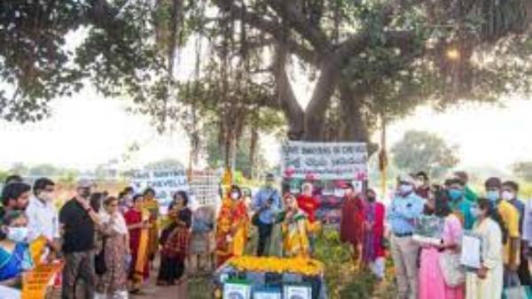 సోషల్ మీడియాలోనూ, బయటా మర్రి చెట్ల సంరక్షణ కోసం పెద్ద ఉద్యమం