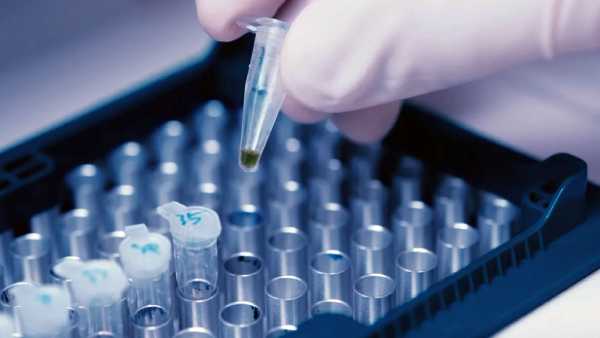 3,476 మంది ప్రయాణీకులు రాక.. పరీక్షలు