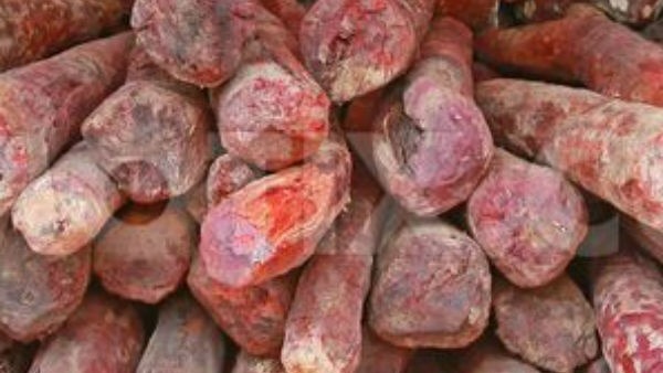  విస్తృతంగా గాలింపు.. 