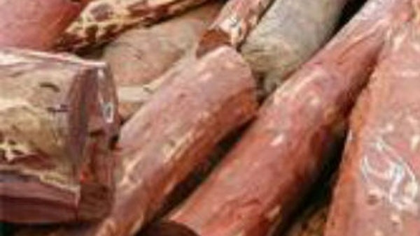  ఎన్‌కౌంటర్‌తో కలకలం.. 