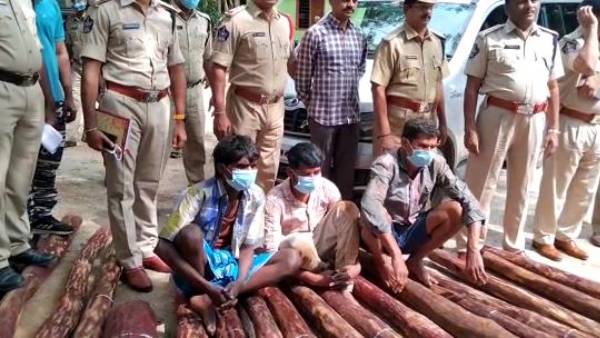 గ్జైలో వాహనంలో 34 ఎర్రచందనం దుంగల అక్రమ రవాణా.. పట్టుకున్న టాస్క్ ఫోర్స్