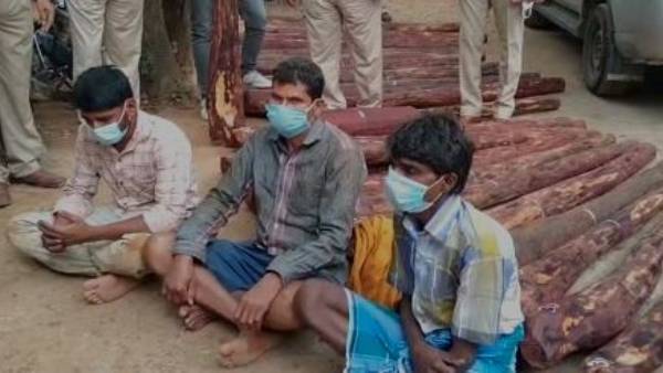  అలిపిరి రోడ్డులో అటవీ ప్రాంతంలో ఎర్ర చందనం స్మగ్లింగ్ .. తమిళ స్మగ్లర్ల అరెస్ట్