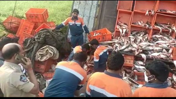 Road Accident at Thadepalligudem; Four died, 10 people injured; Sankranti Festival Tragedy Road Accident at Thadepalligudem; Four died, 10 people injured; Sankranti Festival Tragedy