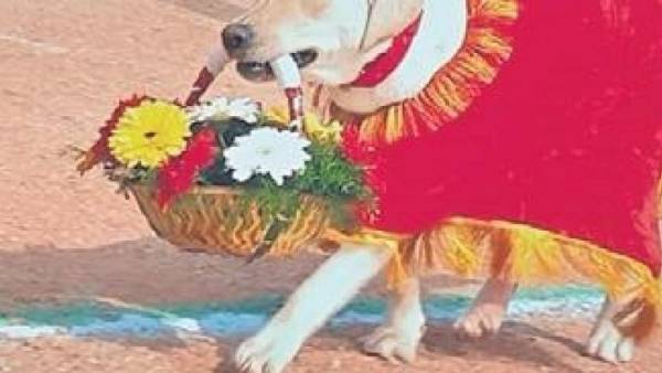 లవ్లీ మృతి పట్ల వనపర్తి ఎస్పీ దిగ్భ్రాంతి , పోలీస్ లాంఛనాలతో అంత్య క్రియలు