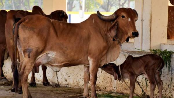 ఆ రోజు ఏం జరిగిందంటే ? ఆ రోజు ఏం జరిగిందంటే ?