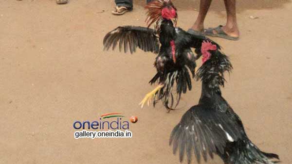 గత ఏడాది రూ.2 వేల కోట్లు