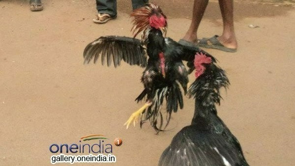  ఈసారి డ్రోన్ కెమెరాలతో నిఘా
