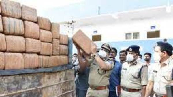 గంజాయి దందా ఇలా .. అల్లం రవాణా మాటున గంజాయి గంజాయి దందా ఇలా .. అల్లం రవాణా మాటున గంజాయి