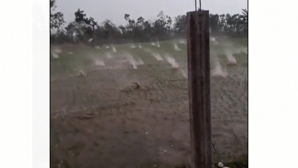 పొలంలో వడగళ్లు