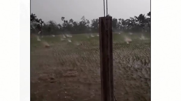 వర్షం.. గాలులు