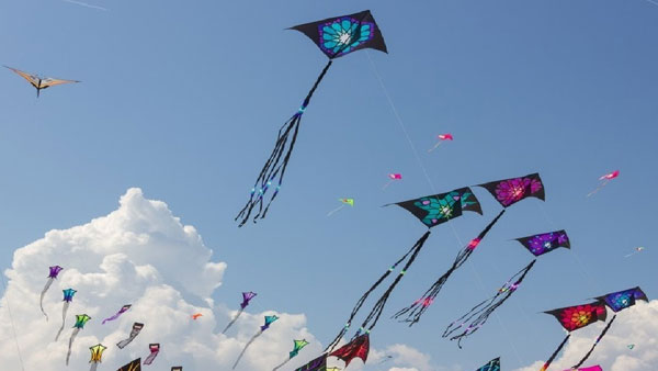 గాలిపటాలను ఎగరేస్తూ సంక్రాంతి సంబరాలు