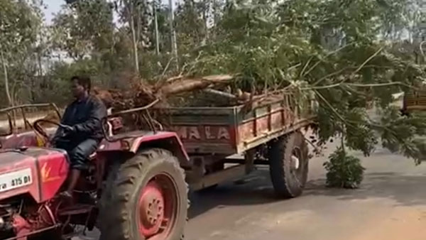 ప్రకృతి విధ్వంసం..