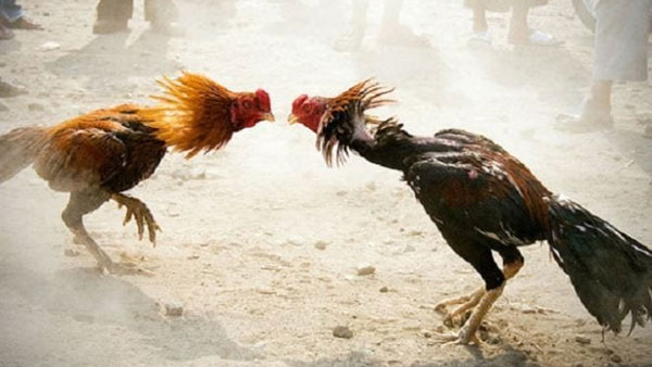 చేతులు మారనున్న కోట్ల రూపాయలు