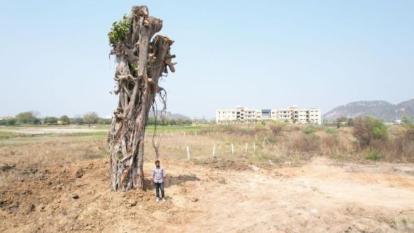 భారీ వర్షాలకు నేలకొరిగిన 70 ఏళ్ల మర్రి చెట్టు
