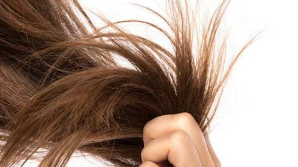  వెంట్రుకల స్మగ్లింగ్ .. మనీలాండరింగ్ దర్యాప్తు చేస్తున్న ఈడీ