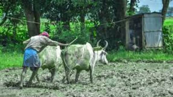  గో మాంసం బ్యాన్ చేసిన యోగి ప్రభుత్వం