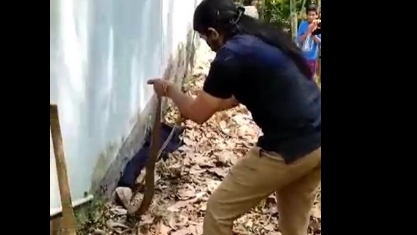 ప్రత్యేకంగా శిక్షణ ప్రత్యేకంగా శిక్షణ