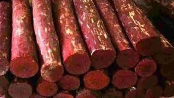 సాంగ్లీలో ఘటన..