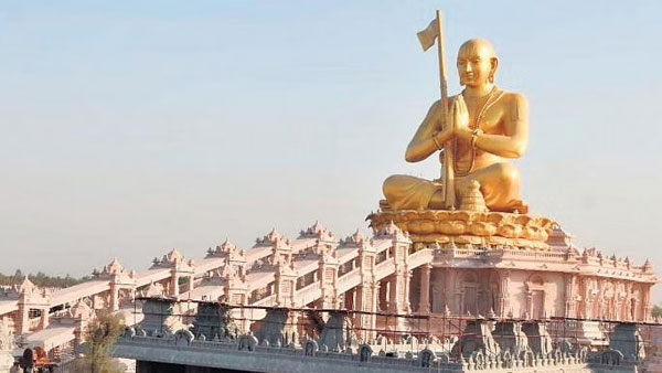 50 ఎకరాలు