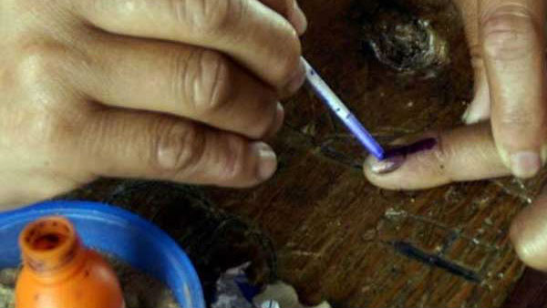 Punjab sees 65% voter turnout, lower than 2017 Punjab sees 65% voter turnout, lower than 2017