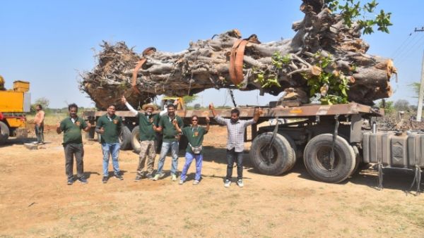  చెట్టు తరలింపుకు ప్రత్యేక రోడ్డు ఏర్పాటు