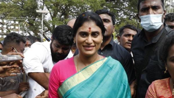 ప్రత్యేక బస్సులు.. ప్రత్యేక బస్సులు..