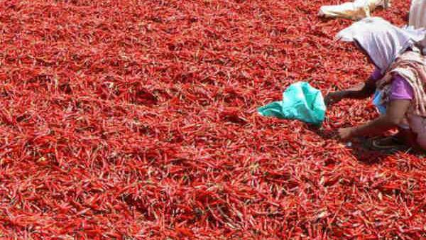  దేశి ర‌కం క్వింటాల్‌కు రూ. 32వేలు