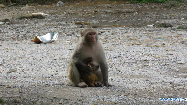 ఫూటుగా తాగుతూ