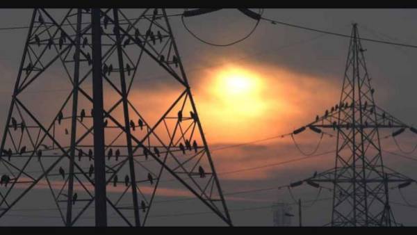  74 శాతం ఇక్కడే