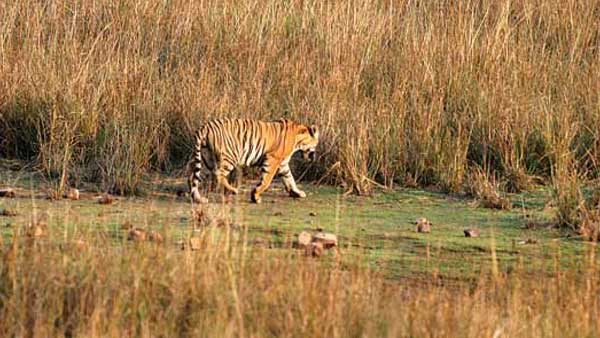  వావ్ అంటోన్న జనం