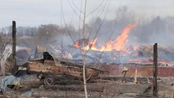 యుద్ధ నేరస్తుల గుర్తింపు