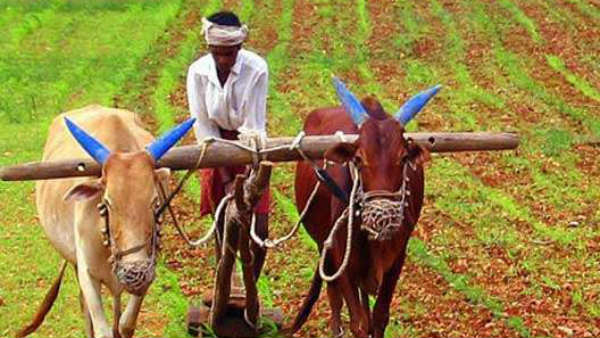  జాతీయ రహదారులపై ఆందోళనలకు దిగిన గులాబీ నేతలు 