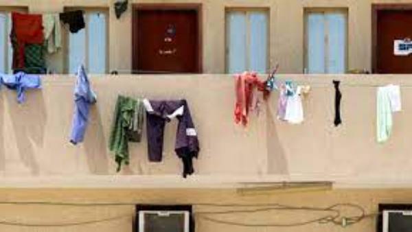 నగరం అందం దెబ్బ తింటుందని అబుదాబీ మున్సిపల్ అధికారుల నిర్ణయం