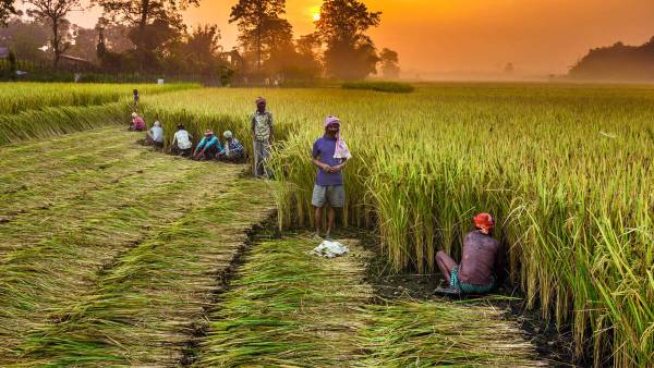  ‘కిసాన్‌ భగీదారీ, ప్రాథమిక హమారీ' ప్రచారం