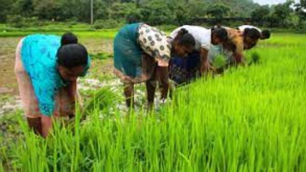  దేశవ్యాప్తంగా 720 కృషి విజ్ఞాన కేంద్రాలకు చెందిన రైతుల భాగస్వామ్యం