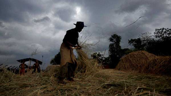 కొనసాగుతున్న యాసంగి కోతలు.. ధాన్యం కొంటారా ? కొనరా? రైతుల ముందున్న ప్రశ్న