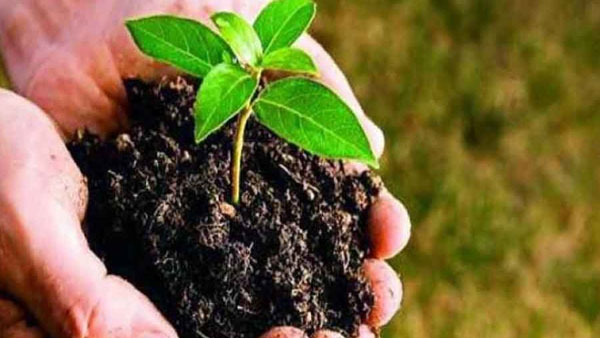 రాష్ట్రంలో సుమారు 237.42 కోట్ల మొక్కలు, పరిరక్షణే ధ్యేయంగా హరితనిధి