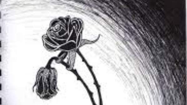 వాటర్ ఫౌంటైన్ లు ఇళ్ళలో ఉంటే సంపద పోతూనే ఉంటుంది వాటర్ ఫౌంటైన్ లు ఇళ్ళలో ఉంటే సంపద పోతూనే ఉంటుంది