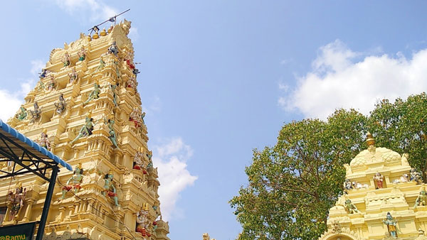 Non veg cooking in Kakani Malleswara swamy temple canteen, became controversy Non veg cooking in Kakani Malleswara swamy temple canteen, became controversy