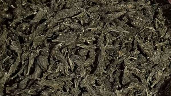 ఖమ్మంలో రాజస్థాన్ కు చెందిన లారీలలో గంజాయి ఎక్కిస్తుండగా పట్టివేత