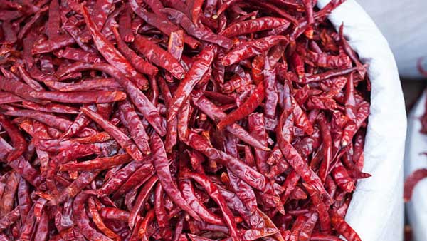 మిర్చికి రికార్డు ధర