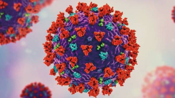 రోజువారీ సానుకూలత రేటు నేడు 0.49 శాతం